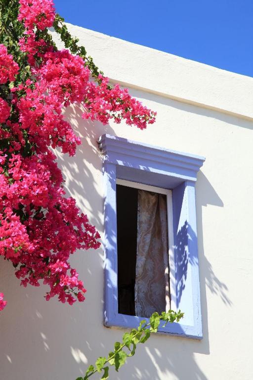 Club Paloma Apartment Gümbet Εξωτερικό φωτογραφία