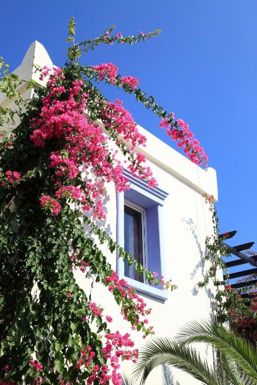 Club Paloma Apartment Gümbet Δωμάτιο φωτογραφία