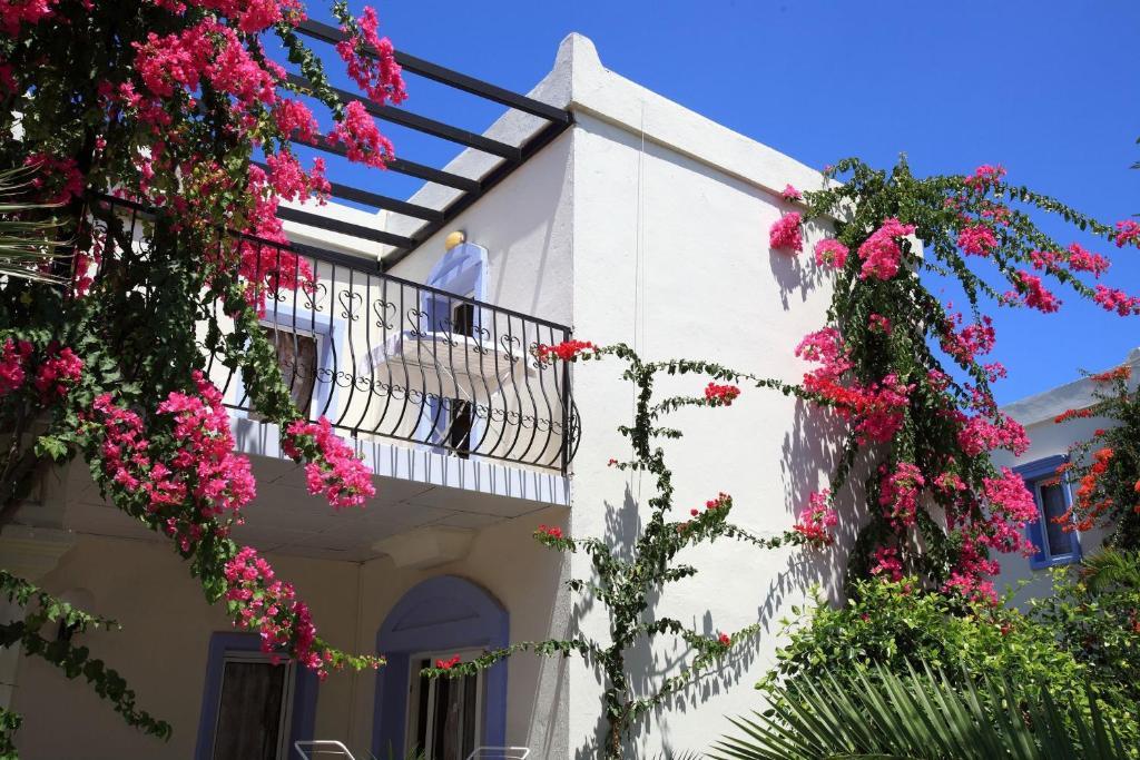 Club Paloma Apartment Gümbet Δωμάτιο φωτογραφία