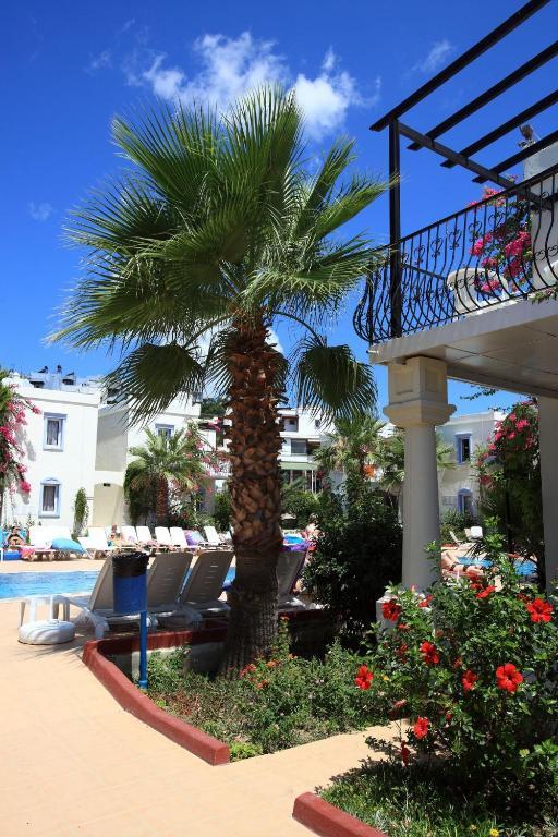 Club Paloma Apartment Gümbet Δωμάτιο φωτογραφία