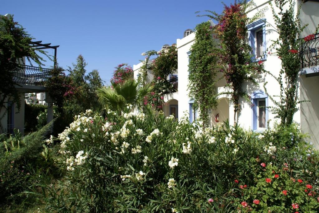 Club Paloma Apartment Gümbet Εξωτερικό φωτογραφία